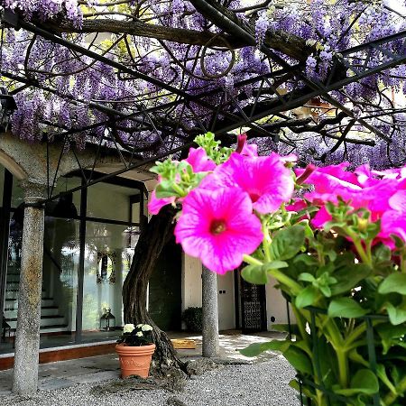 Antico Glicine B&B Maslianico Eksteriør billede
