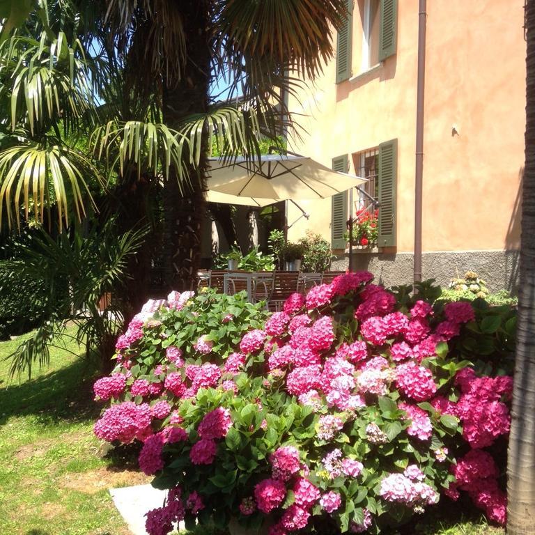 Antico Glicine B&B Maslianico Eksteriør billede