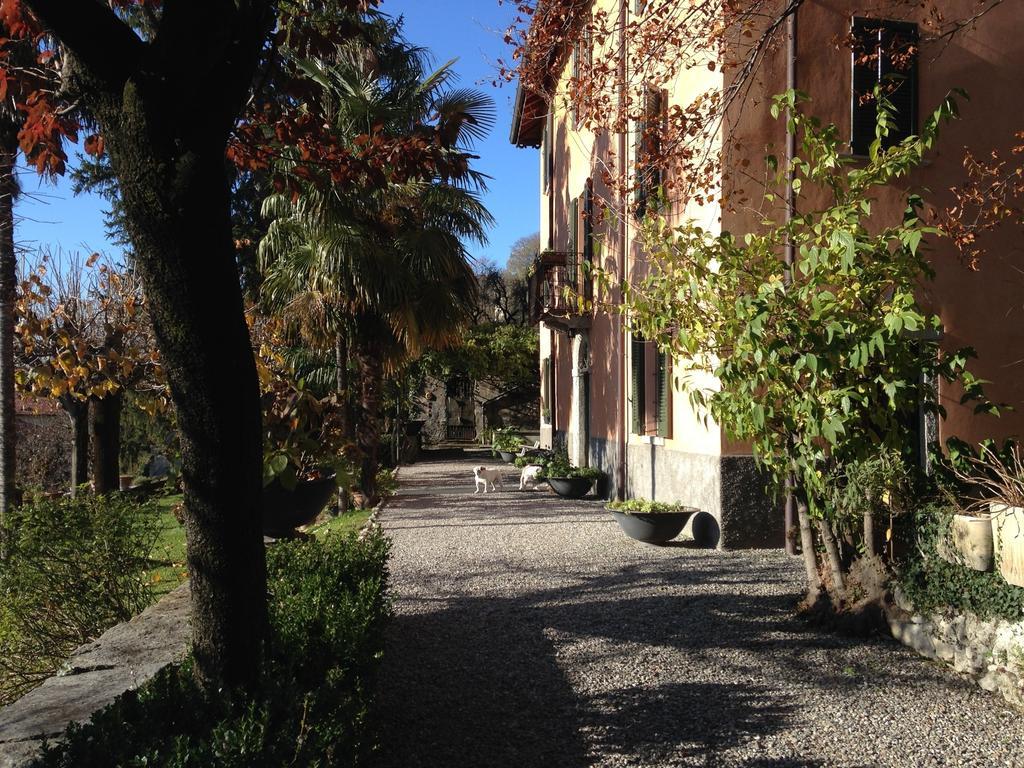 Antico Glicine B&B Maslianico Eksteriør billede